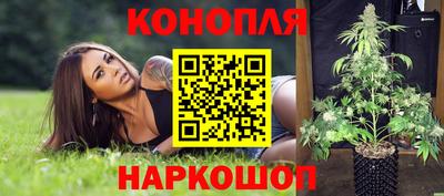 ECSTASY Бийск