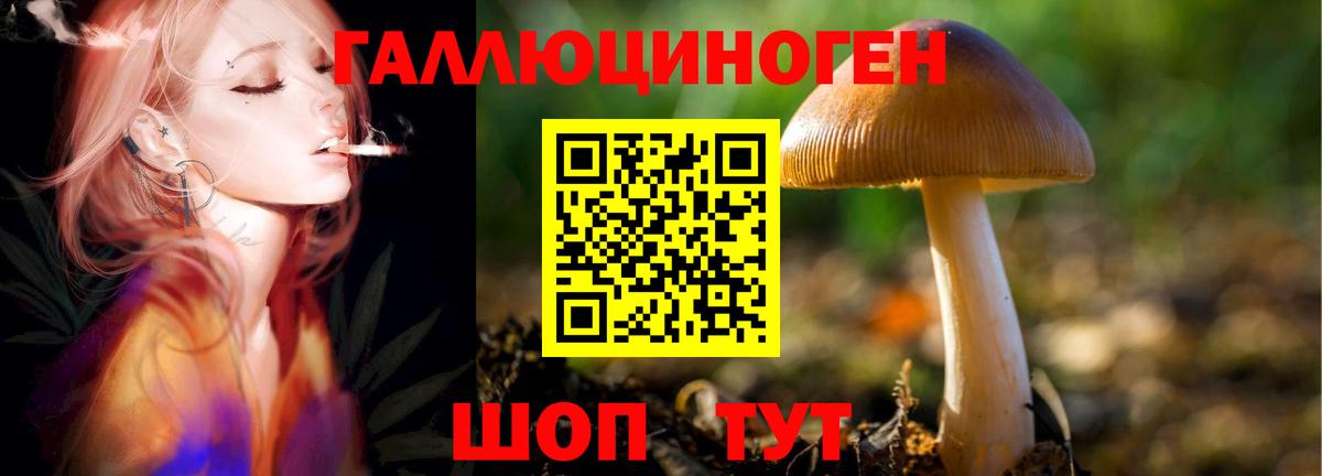 Кирово-Чепецк  Галлюциногенные грибы ЛСД  Вход с VPN  Галлюциногенные грибы Psilocybine cubensis 